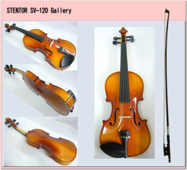 ステンター SV-180 1/8 キッズ向けバイオリン(1/8サイズ)STENTOR[SV18018STENTOR] 返品種別A
