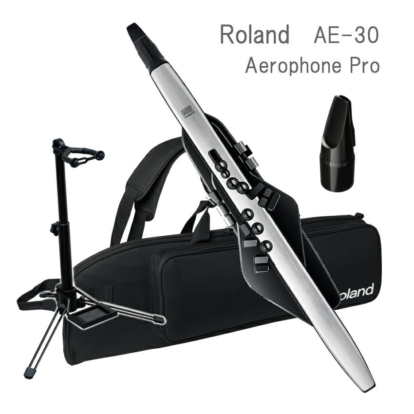 Roland Aerophone Pro /AE-30 エアロフォン プロ デジタル管楽器