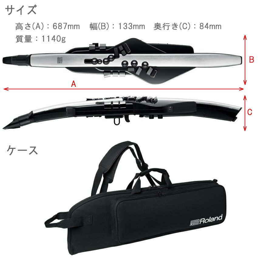 Roland Aerophone Pro AE-30　キャリングケース付き Roland Aerophone Pro AE-30 キャリングケース付き 楽器・機材