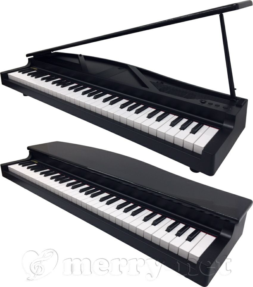 KORG microPIANO【 2024年製・美品】ダンパーペダル付き DS-1H - DAMPER PEDAL | KORG (Japan)