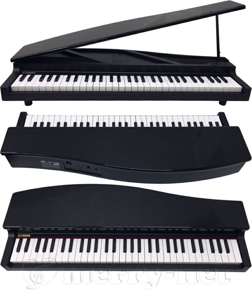 鍵盤楽器 KORG MICROPIANO KORG microPIANO BK コルグ ピアノ型キーボード レッド「大人の